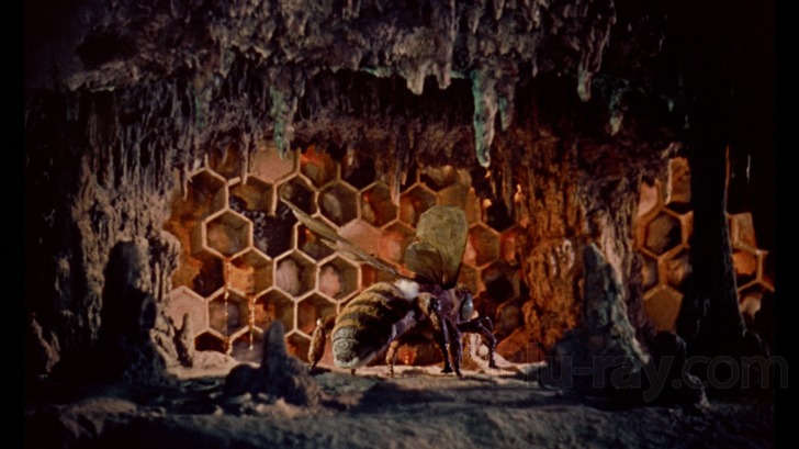 mysterious island bees