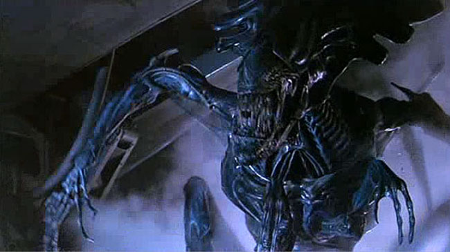 xenomorph